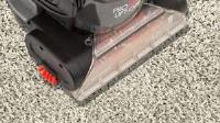 Home carpet cleaning image 3